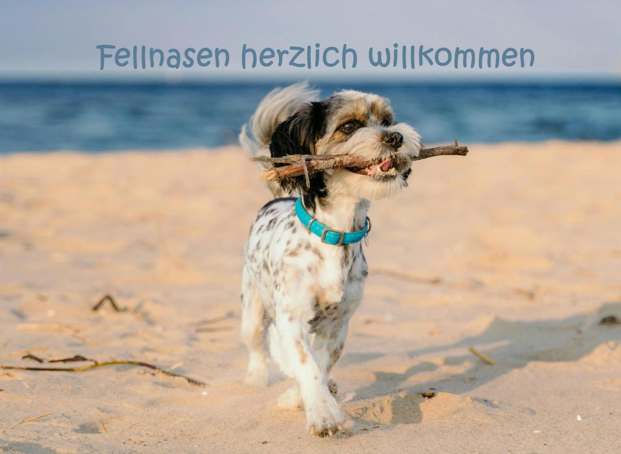 Hafensuite Ipura Vida! - Fuer Leben-Geniesser Kappeln Dış mekan fotoğraf